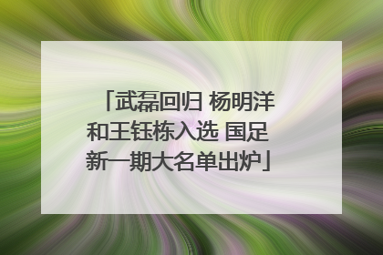 武磊回归 杨明洋和王钰栋入选 国足新一期大名单出炉