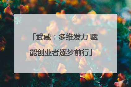 武威：多维发力 赋能创业者逐梦前行