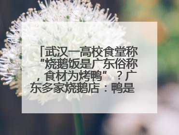武汉一高校食堂称“烧鹅饭是广东俗称，食材为烤鸭”？广东多家烧鹅店：鸭是鸭鹅是鹅