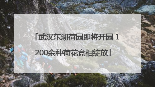 武汉东湖荷园即将开园 1200余种荷花竞相绽放