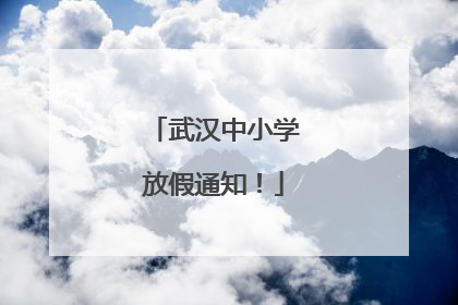 武汉中小学放假通知！