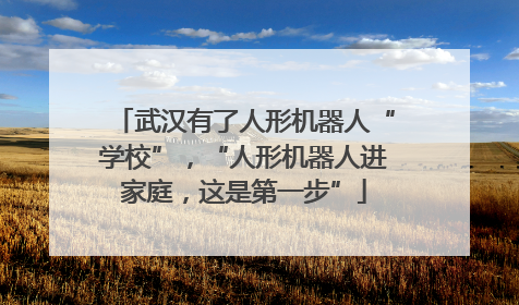 武汉有了人形机器人“学校”，“人形机器人进家庭，这是第一步”