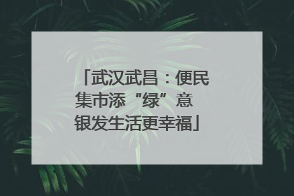 武汉武昌：便民集市添“绿”意 银发生活更幸福