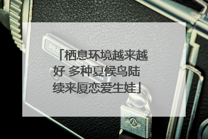栖息环境越来越好 多种夏候鸟陆续来厦恋爱生娃