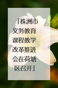 株洲市义务教育课程教学改革推进会在荷塘区召开