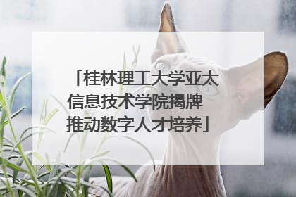 桂林理工大学亚太信息技术学院揭牌 推动数字人才培养