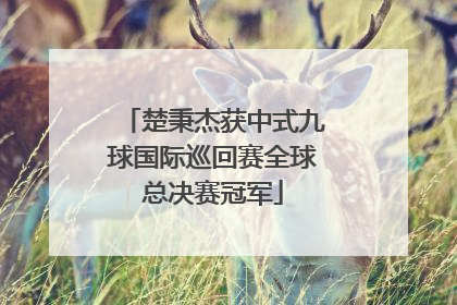 楚秉杰获中式九球国际巡回赛全球总决赛冠军