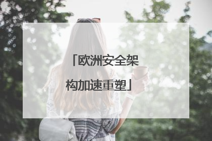 欧洲安全架构加速重塑