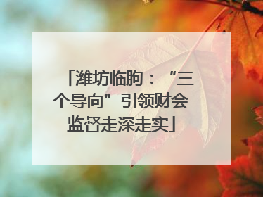 潍坊临朐：“三个导向”引领财会监督走深走实