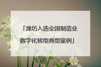 潍坊入选全国制造业数字化转型典型案例