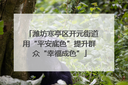 潍坊寒亭区开元街道用“平安底色”提升群众“幸福成色”