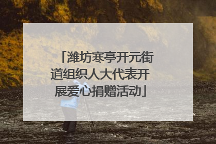 潍坊寒亭开元街道组织人大代表开展爱心捐赠活动