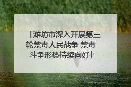 潍坊市深入开展第三轮禁毒人民战争 禁毒斗争形势持续向好
