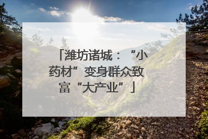 潍坊诸城：“小药材”变身群众致富“大产业”