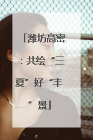 潍坊高密：共绘“三夏”好“丰”景