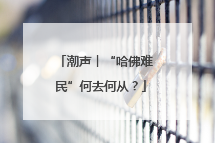 潮声丨“哈佛难民”何去何从？