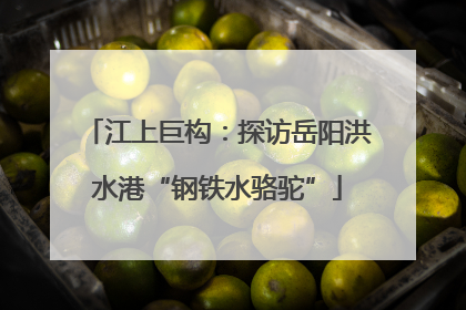 江上巨构：探访岳阳洪水港“钢铁水骆驼”
