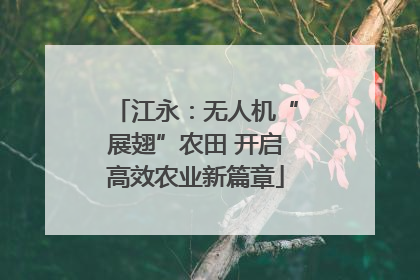 江永：无人机“展翅”农田 开启高效农业新篇章