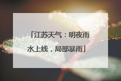 江苏天气：明夜雨水上线，局部暴雨