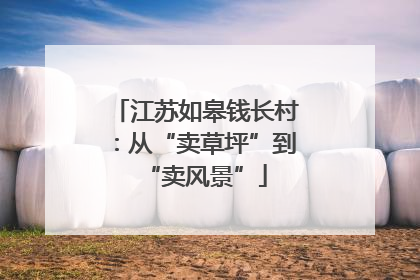 江苏如皋钱长村：从“卖草坪”到“卖风景”