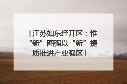 江苏如东经开区：惟“新”图强以“新”提质推进产业强区