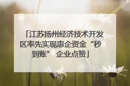 江苏扬州经济技术开发区率先实现惠企资金“秒到账” 企业点赞