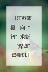江苏沛县：向“智”求新“煤城”焕新机