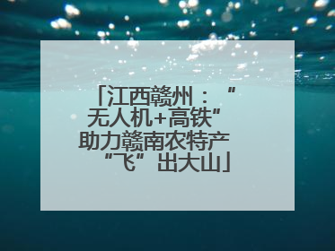 江西赣州：“无人机+高铁”助力赣南农特产“飞”出大山