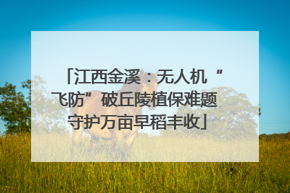 江西金溪：无人机“飞防”破丘陵植保难题 守护万亩早稻丰收