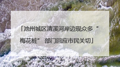池州城区清溪河岸边现众多“梅花桩” 部门回应市民关切