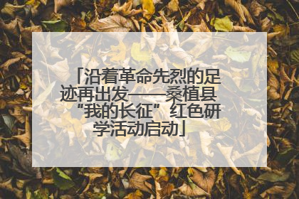 沿着革命先烈的足迹再出发——桑植县“我的长征”红色研学活动启动