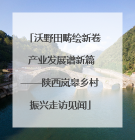 沃野田畴绘新卷 产业发展谱新篇——陕西岚皋乡村振兴走访见闻