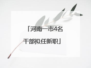 河南一市4名干部拟任新职