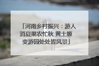 河南乡村振兴：游人消夏果农忙秋 黄土塬变游园处处皆风景