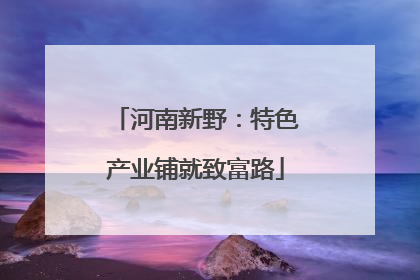 河南新野：特色产业铺就致富路