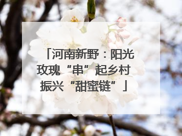 河南新野：阳光玫瑰“串”起乡村振兴“甜蜜链”