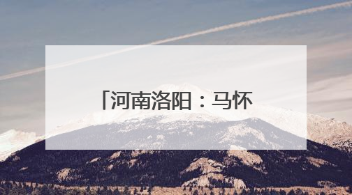 河南洛阳：马怀庆到偃师区指导调研防汛综合应急演练等工作