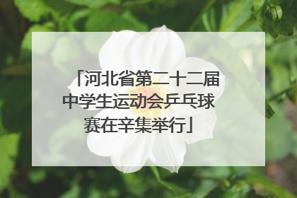 河北省第二十二届中学生运动会乒乓球赛在辛集举行