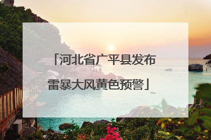 河北省广平县发布雷暴大风黄色预警