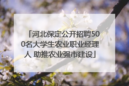 河北保定公开招聘500名大学生农业职业经理人 助推农业强市建设