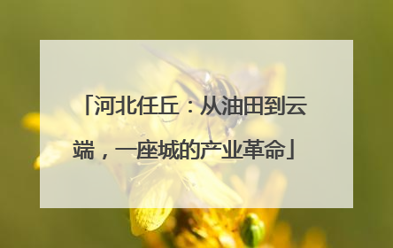 河北任丘：从油田到云端，一座城的产业革命