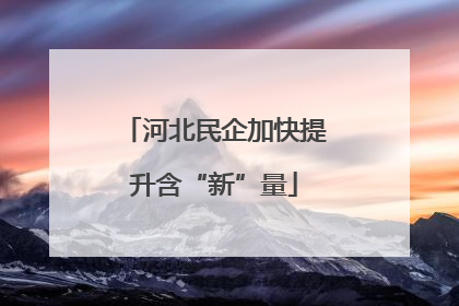河北民企加快提升含“新”量