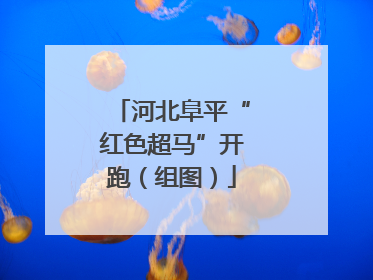河北阜平“红色超马”开跑（组图）