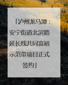 泸州龙马潭：安宁街道北滨路延长线共同富裕示范带项目正式签约