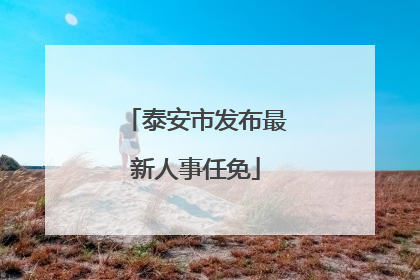 泰安市发布最新人事任免