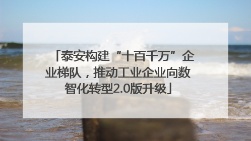 泰安构建“十百千万”企业梯队，推动工业企业向数智化转型2.0版升级