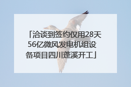 洽谈到签约仅用28天 56亿微风发电机组设备项目四川蓬溪开工