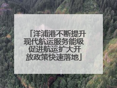 洋浦港不断提升现代航运服务能级 促进航运扩大开放政策快速落地