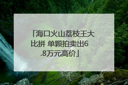 海口火山荔枝王大比拼 单颗拍卖出6.8万元高价