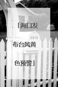 海口发布台风黄色预警